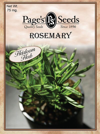 Rosemary