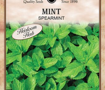 Spearmint