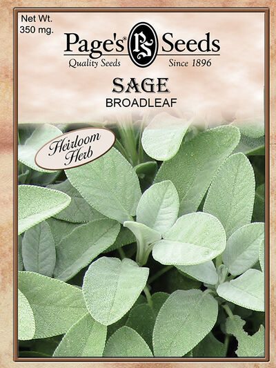 Sage Broadleaf