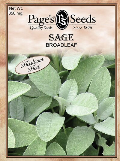 Sage Broadleaf