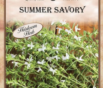Summer Savory