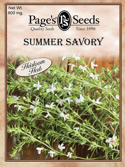 Summer Savory