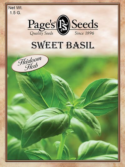 Sweet Basil