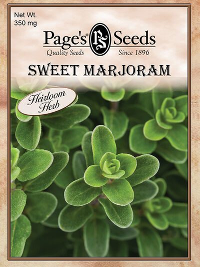 Sweet Marjoram