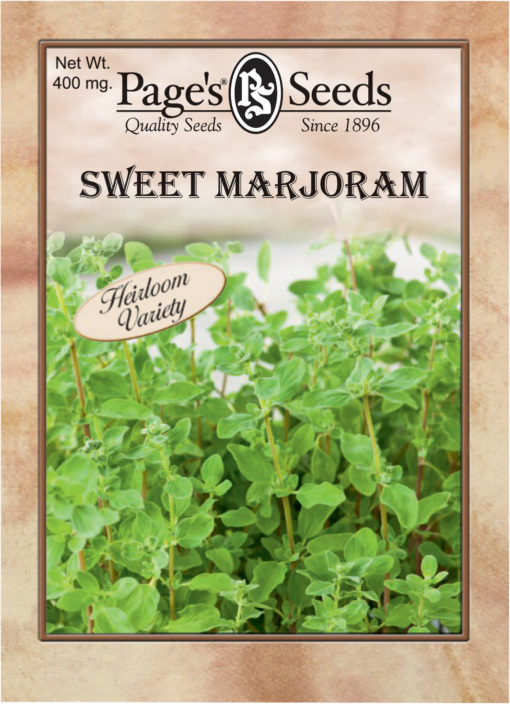 Sweet Marjoram Herb The Page Seed Company, Inc
