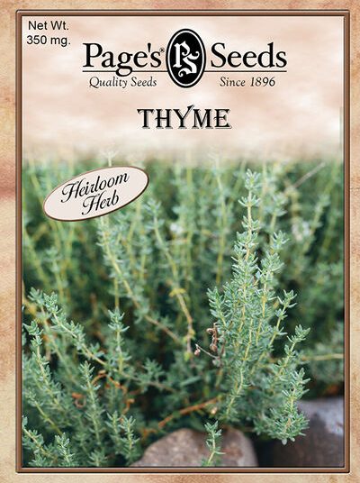 Thyme