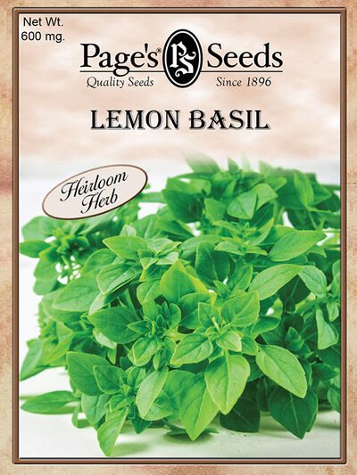 Lemon Basil