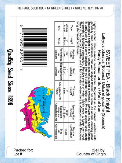 Sweet Pea Black Knight