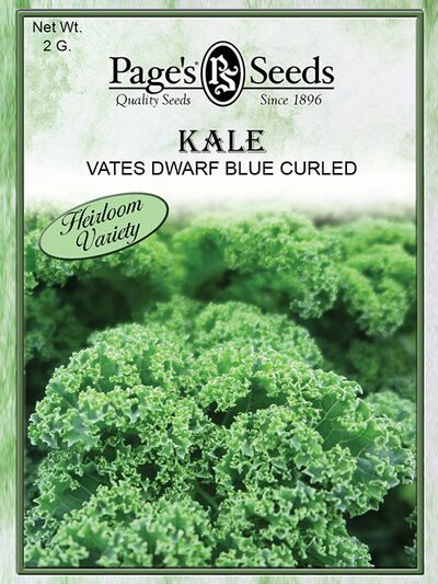 Kale Vates Dwarf Blue Curled