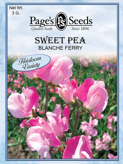 Sweet Pea Blanch Ferry
