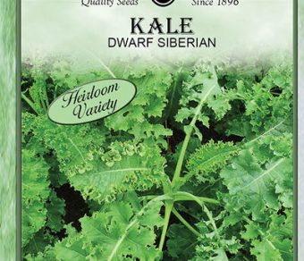 Kale Dwarf Siberian