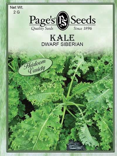 Kale Dwarf Siberian