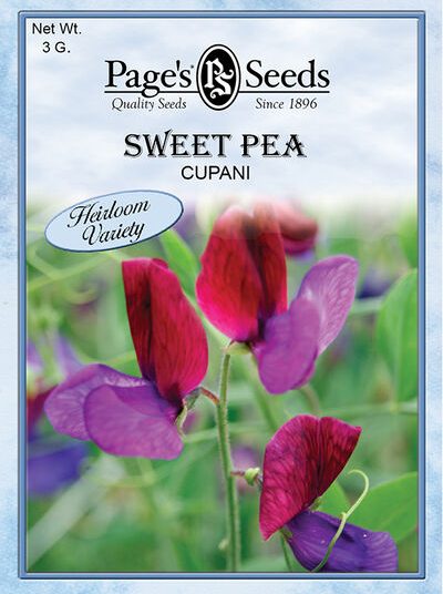 Sweet Pea Cupani