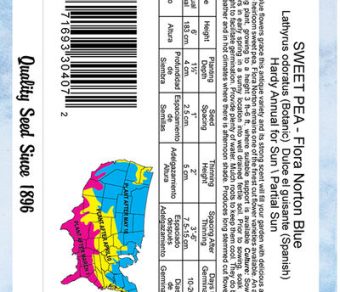 Sweet Pea Flora norton Blue