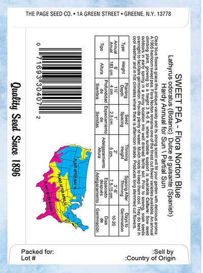 Sweet Pea Flora norton Blue