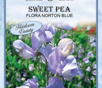 Sweet Pea Flora norton Blue