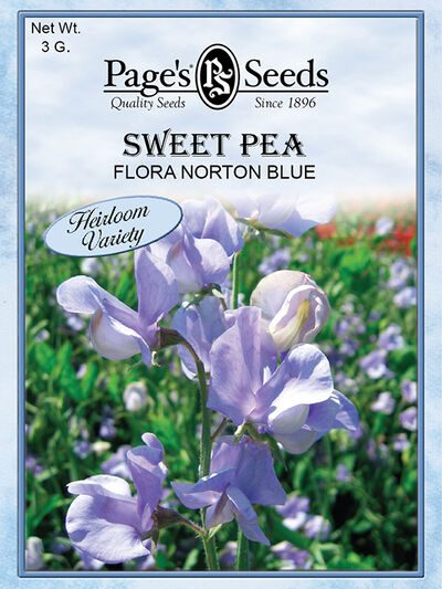 Sweet Pea Flora norton Blue