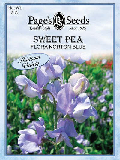 Sweet Pea Flora norton Blue