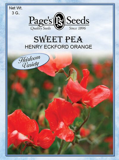 Sweet Pea Henry Eckford Orange