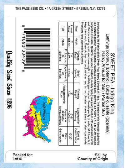 Sweet Pea Indigo King