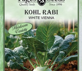 Kohl Rabi Early White  Vienna