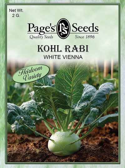 Kohl Rabi Early White  Vienna