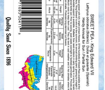 Sweet Pea King Edward VII