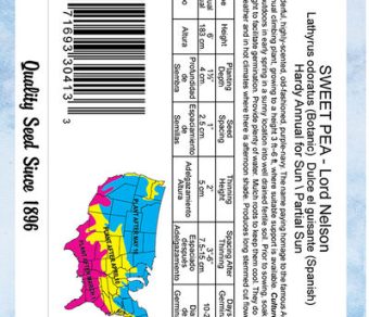 Sweet Pea Lord Nelson