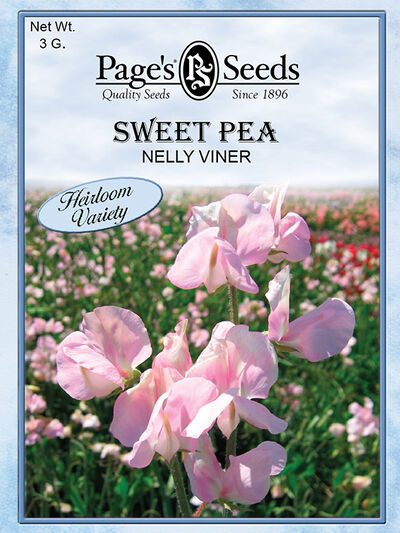 Sweet Pea Nelly Viner