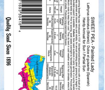 Sweet Pea Painted Lady