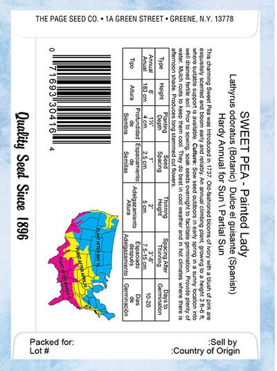 Sweet Pea Painted Lady