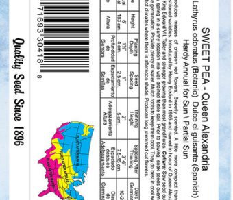 Sweet Pea Queen Alexandria