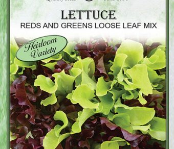 Lettuce Reds and Greens loose Leaf Mix