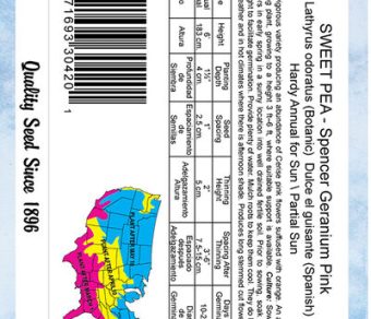 Sweet Pea Spencer Geranium Pink