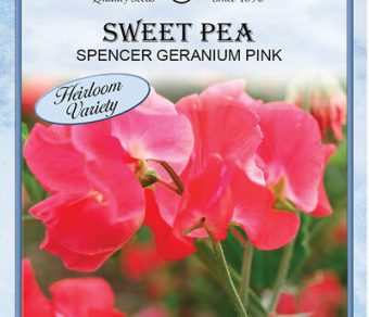 Sweet Pea Spencer Geranium Pink