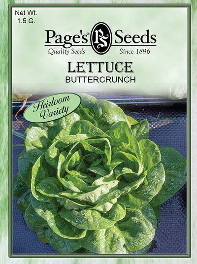 Lettuce Buttercrunch