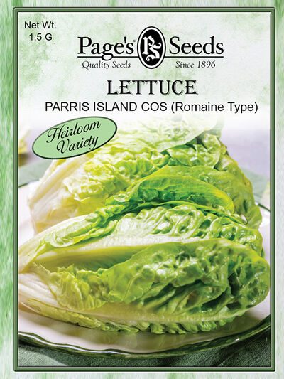 Lettuce Parris Island Cos