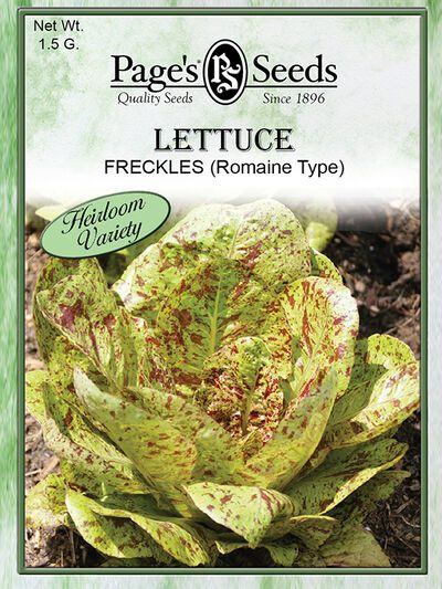 Lettuce Freckles