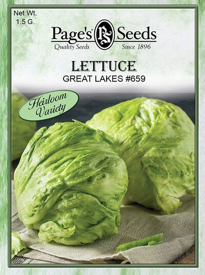 Lettuce Great Lakes