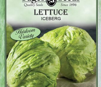 Lettuce Iceberg