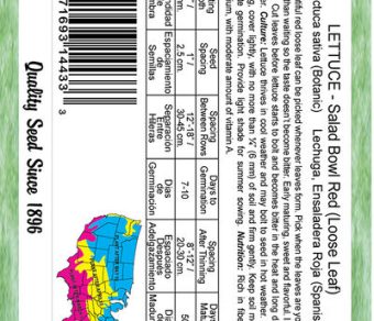 Lettuce Salad Bowl Red