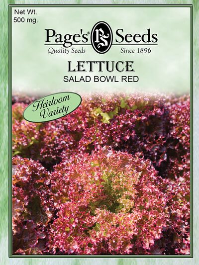 Lettuce Salad Bowl Red