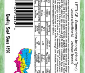 Lettuce Summertime Iceberg