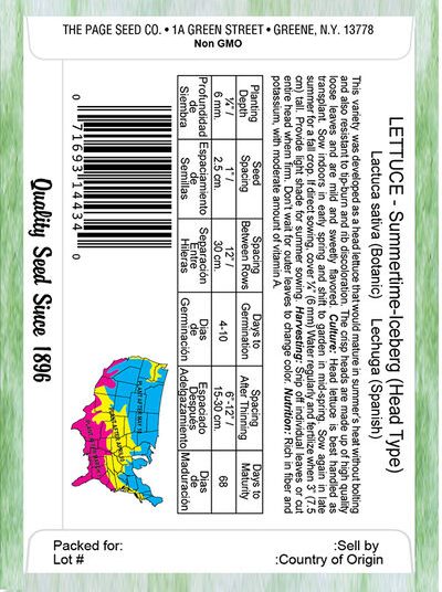 Lettuce Summertime Iceberg