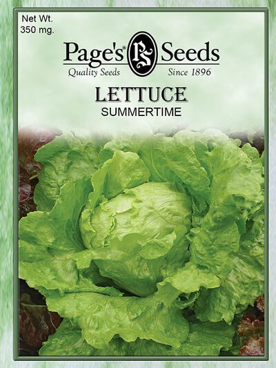 Lettuce Summertime Iceberg