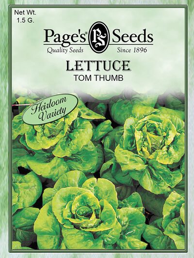 Lettuce Tom Thumb