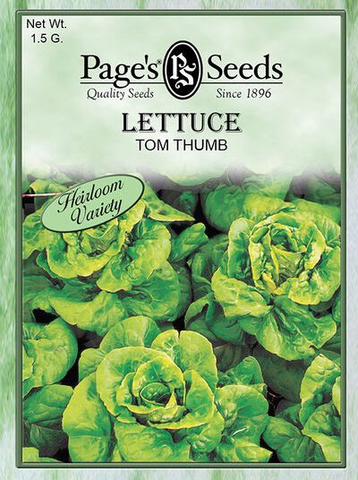 Lettuce Tom Thumb