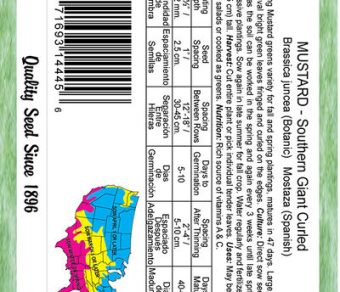 Mustard Southern Giant Curled