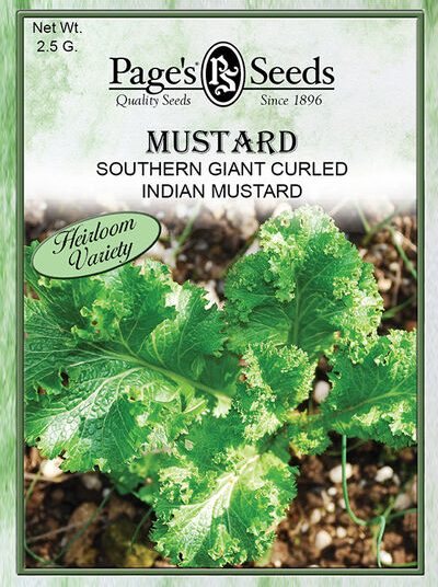 Mustard Southern Giant Curled
