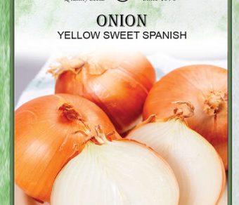 Onion Yellow Sweet Spanish